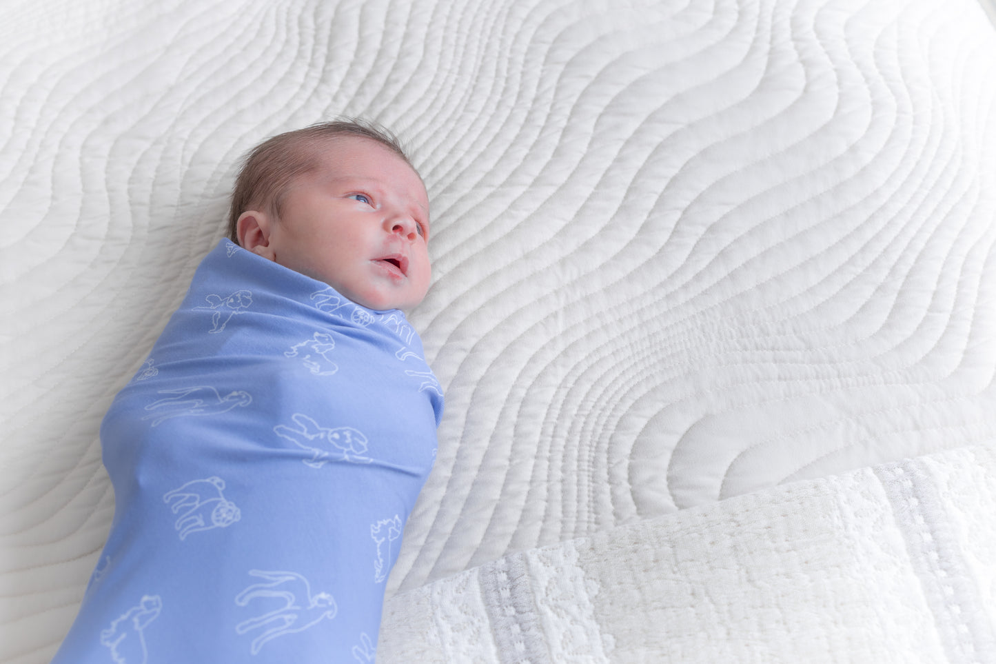 Archie - Butter Blanket